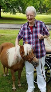 Home Health Care Warren NJ - Meet Sweetie, Our Miniature Horse