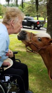 Home Health Care Warren NJ - Meet Sweetie, Our Miniature Horse